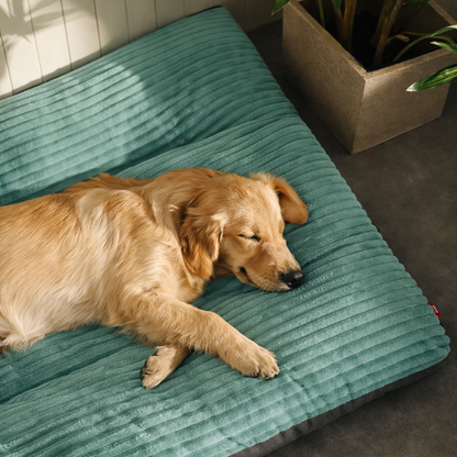WarmNest Corduroy Pet Bed