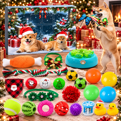 Christmas Advent Calendar for Cats & Dogs
