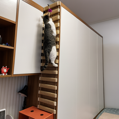 WallAdventure – Climbing Bridge & Hanging Ladder for Wall-Mounted Cat Play Areas