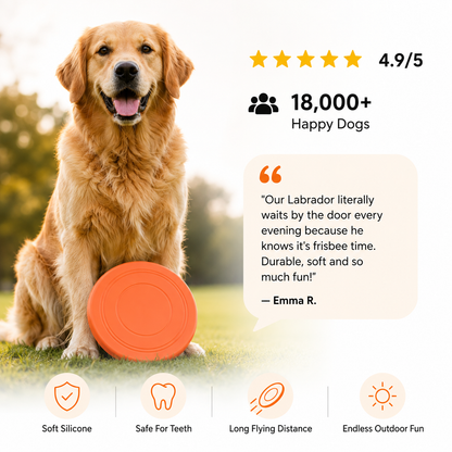 Silicone Flying Disc for Dogs