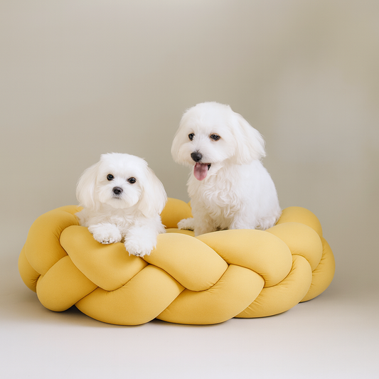 DreamLounger Deluxe Dog Bed
