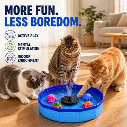 Cat Water Play Fountain
