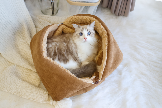 SnuggleCloud Ultra Plush Cat Bed