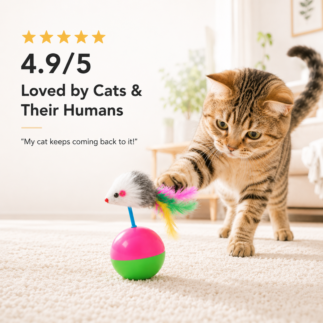 Mouse Wobble Toy
