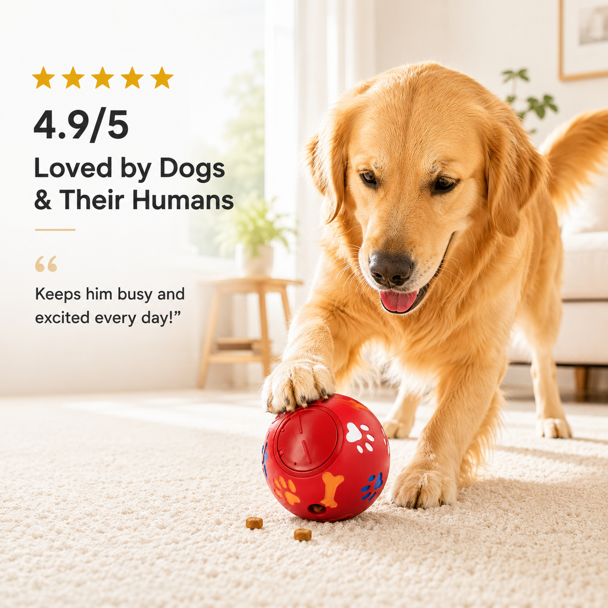 Treat Ball