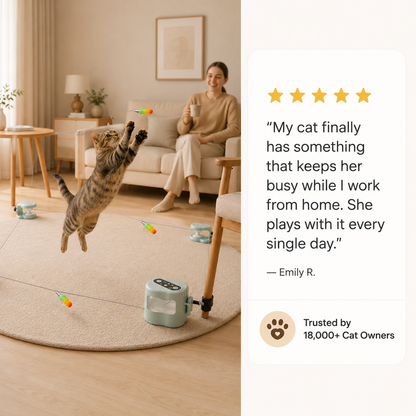 PawSprint Cat Toy