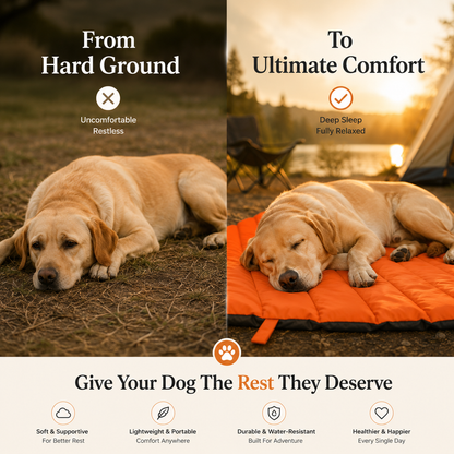 CoolCuddle Summer Pet Bed