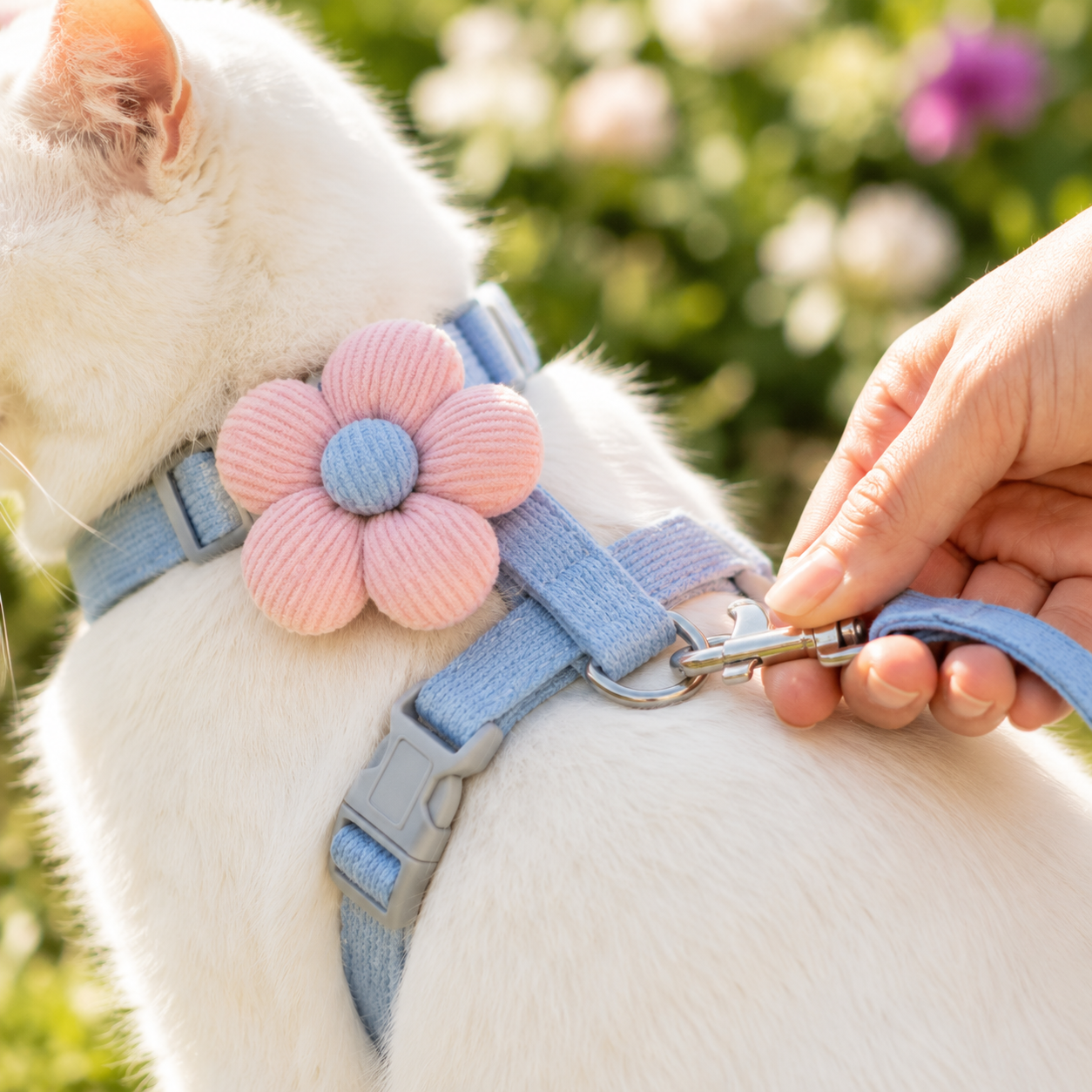 Floral Pet Harness & Lead Set