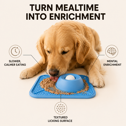 Slow Feeder & Lick Mat Bowl