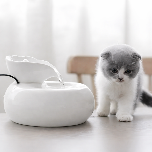 AquaFlow Pet Fountain