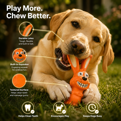 Bunny Rabbit Dog Chew Toy