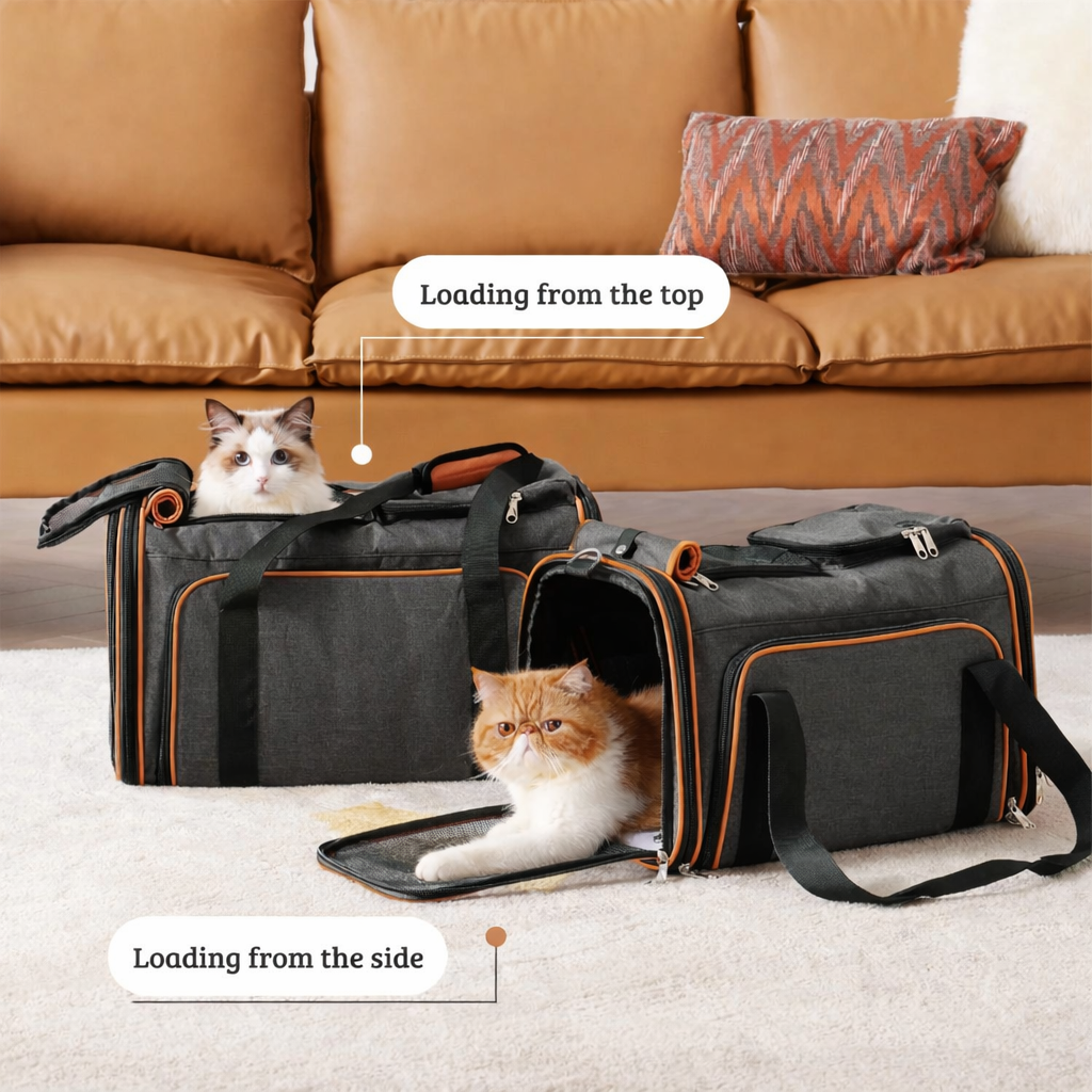 AirVoyager Expandable Pet Carrier