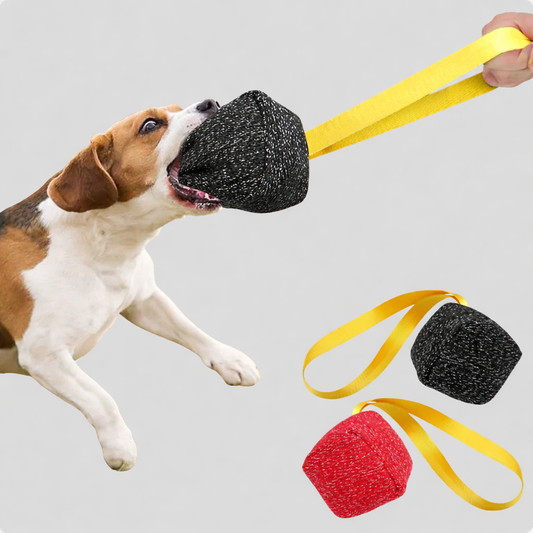 TugTrainer Training-Toy