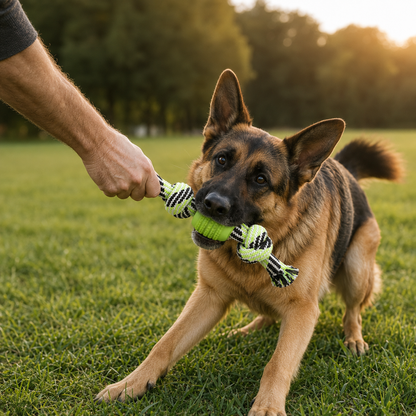 CottonKnot Chew Rope Ball Toy
