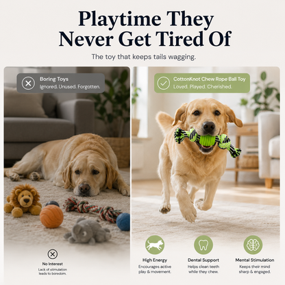 CottonKnot Chew Rope Ball Toy