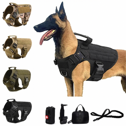 BattleBuddy K9 Tactical Vest & Leash Set