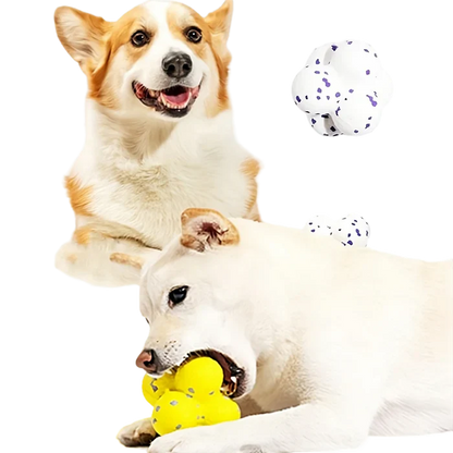 Durable Bouncing Ball for Dogs