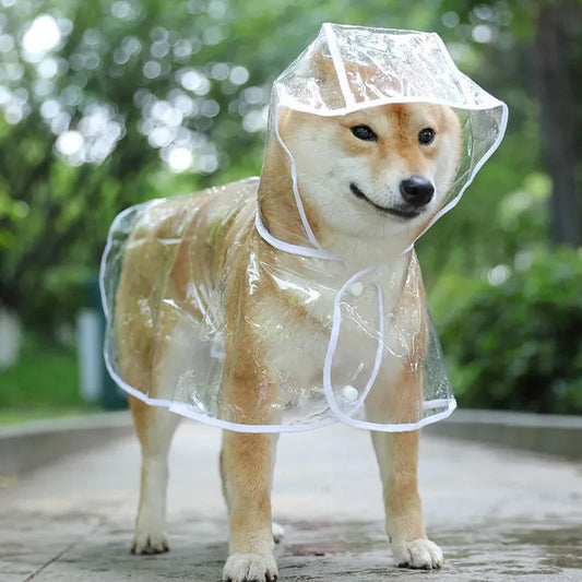 Clear Waterproof Raincoat