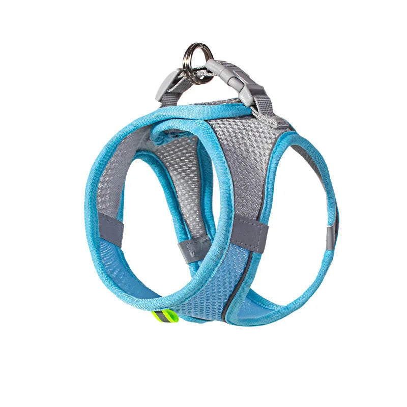 PuppyFlex Adjustable Harness & Leash Set