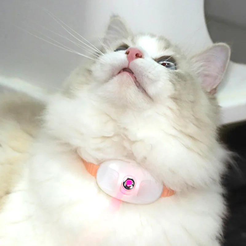 LaserPlay USB Rechargeable LED Cat Teasing Toy