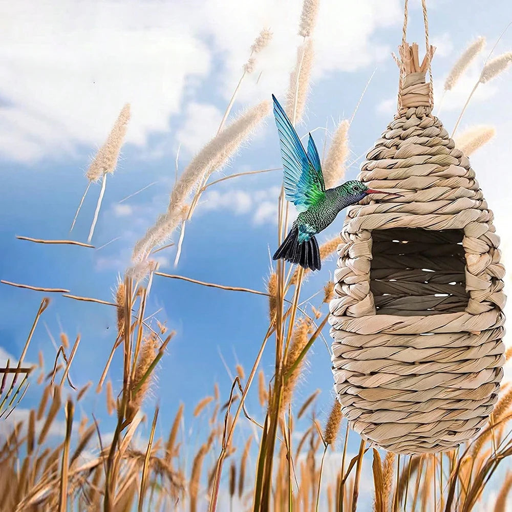 Natural Grass Bird Nest