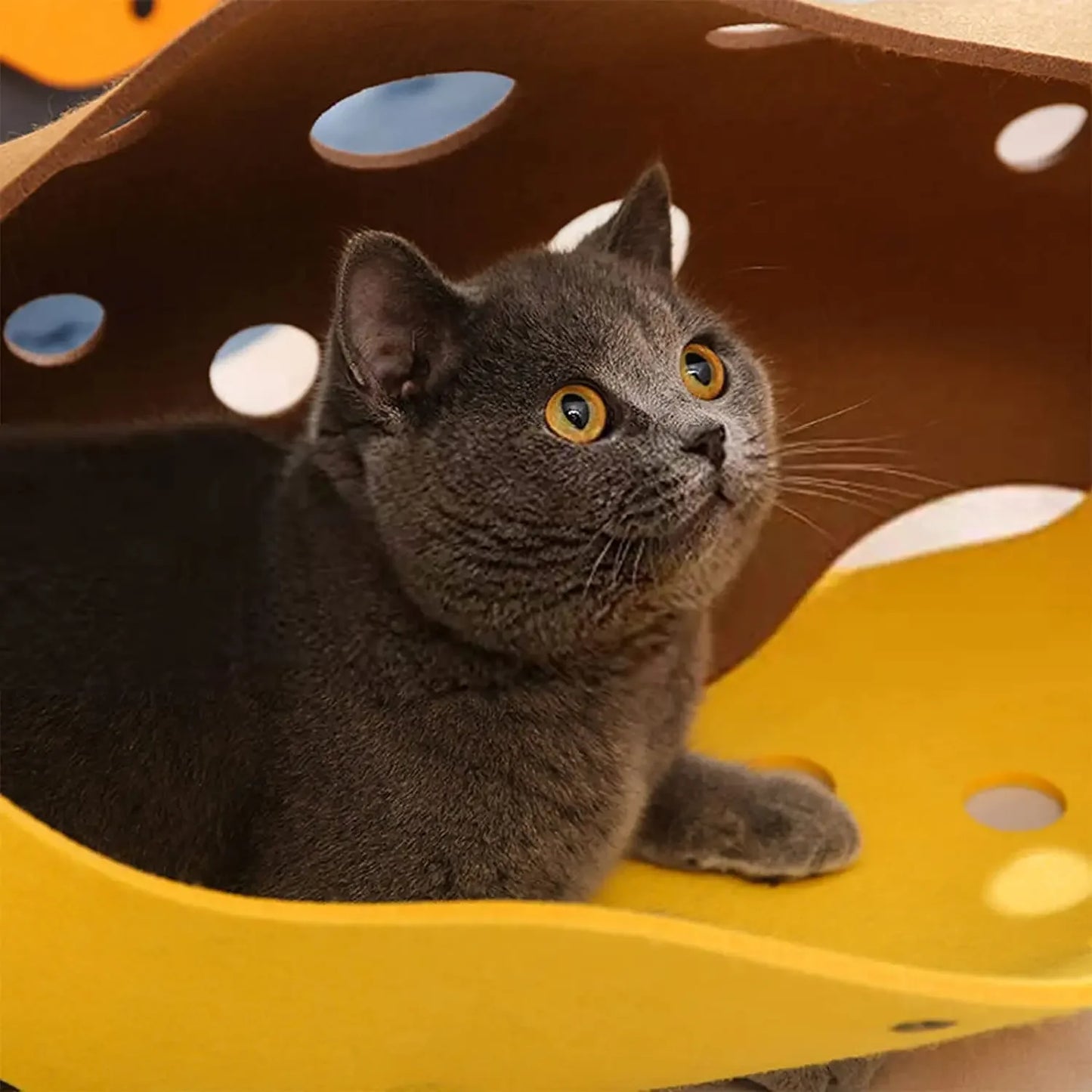 TunnelPounce Foldable Cat Play Tunnel