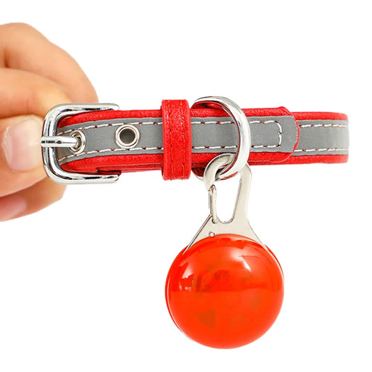 LED Luminous Dog & Cat Collar