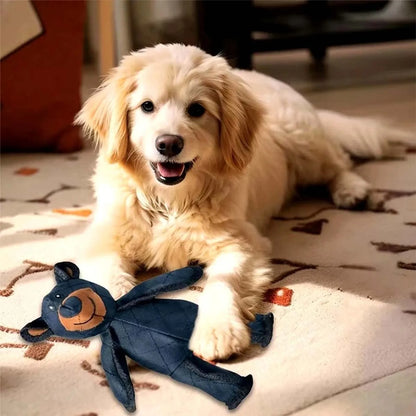 Plush Teddy Squeaker