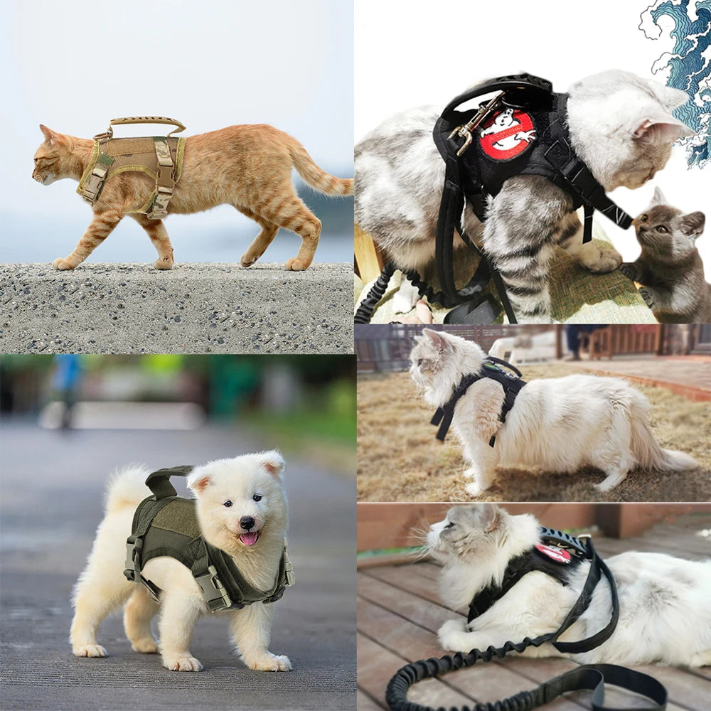 BattlePaw Tactical Cat Harness