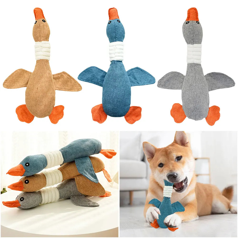 QuackBuddy Squeaky Dog Toy