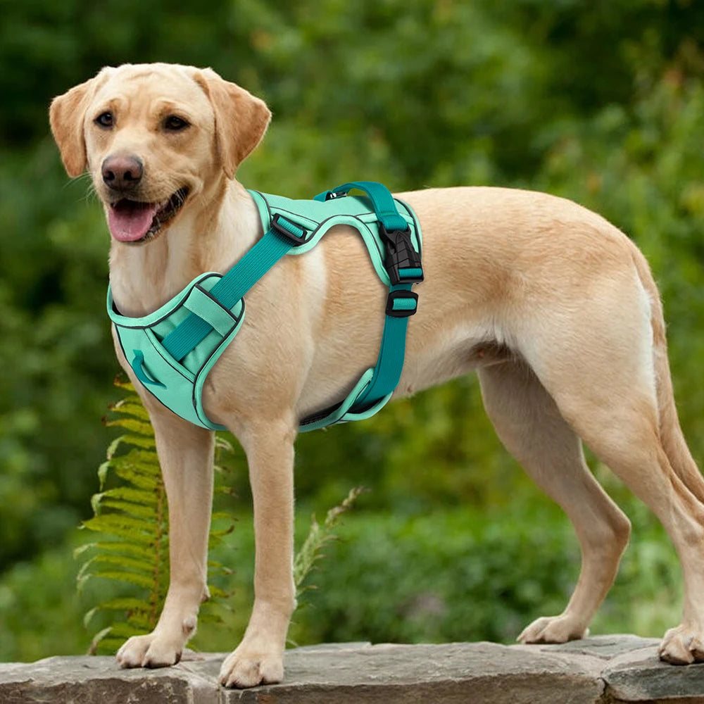 AirFlow Reflective No-Pull Mesh Dog Harness