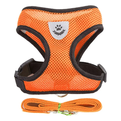 FlexiFit Adjustable Pet Harness & Leash Set