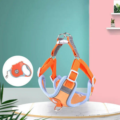 AeroStride Soft-Flex Harness & Leash Set