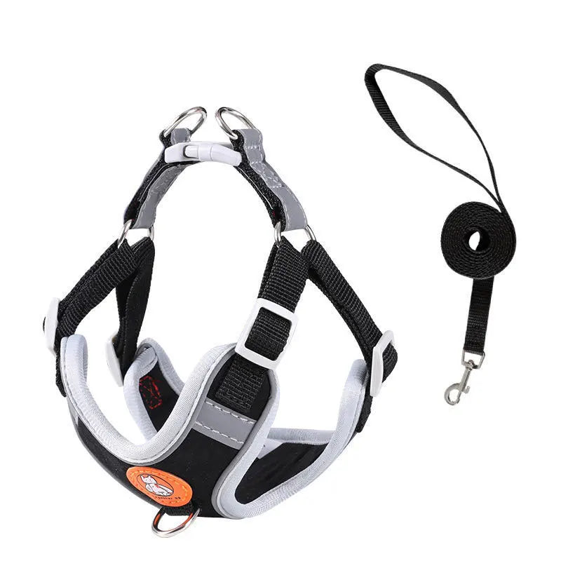AeroStride Soft-Flex Harness & Leash Set