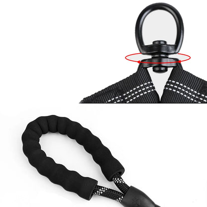 Dual-Flex Tandem Leash