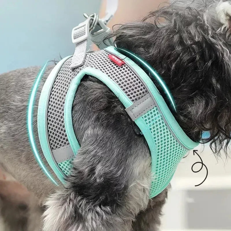 PuppyFlex Adjustable Harness & Leash Set