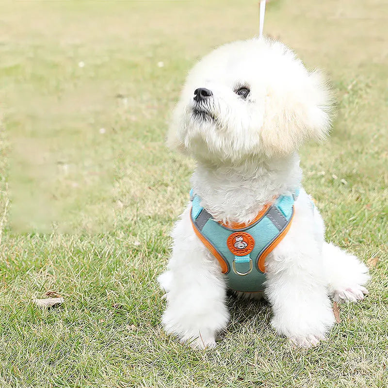 AeroStride Soft-Flex Harness & Leash Set