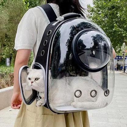 GalaxyPaw Transparent Space Capsule Pet Backpack