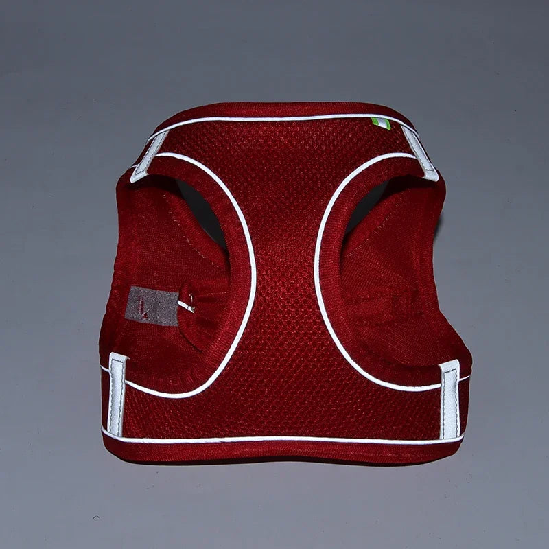 PuppyFlex Adjustable Harness & Leash Set