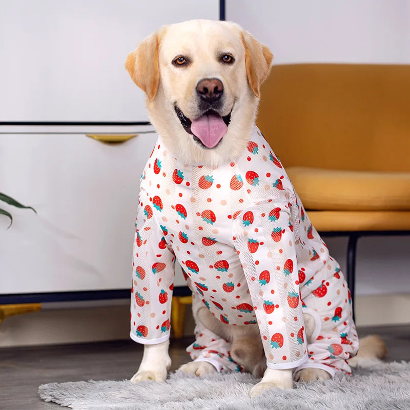 SunGuard UV Protection Dog Suit