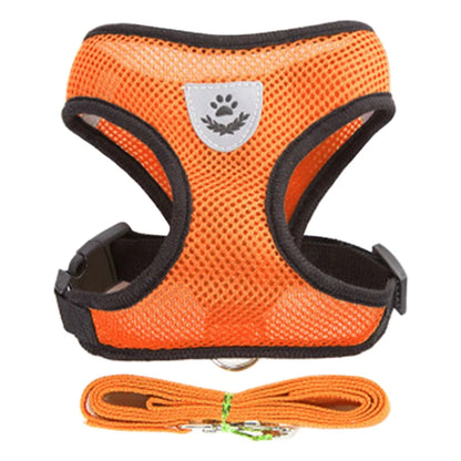 FlexiFit Adjustable Pet Harness & Leash Set