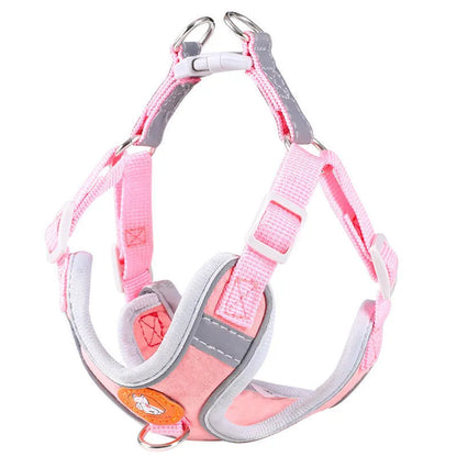 AeroStride Soft-Flex Harness & Leash Set