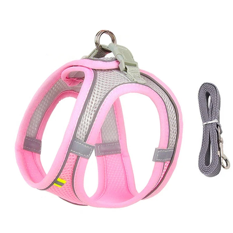 PuppyFlex Adjustable Harness & Leash Set