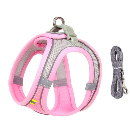 PuppyFlex Adjustable Harness & Leash Set