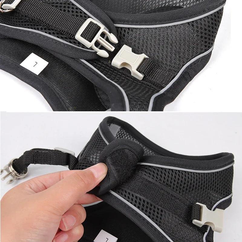 PuppyFlex Adjustable Harness & Leash Set