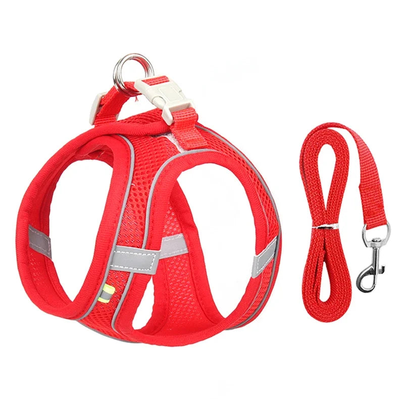 PuppyFlex Adjustable Harness & Leash Set