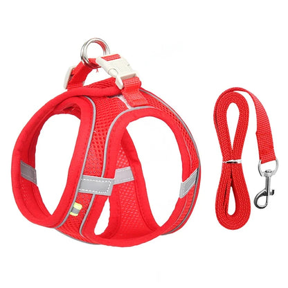 PuppyFlex Adjustable Harness & Leash Set