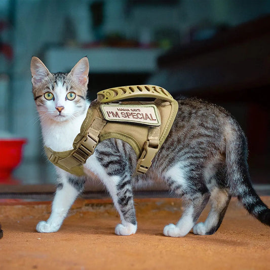 BattlePaw Tactical Cat Harness