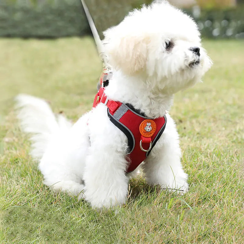 AeroStride Soft-Flex Harness & Leash Set