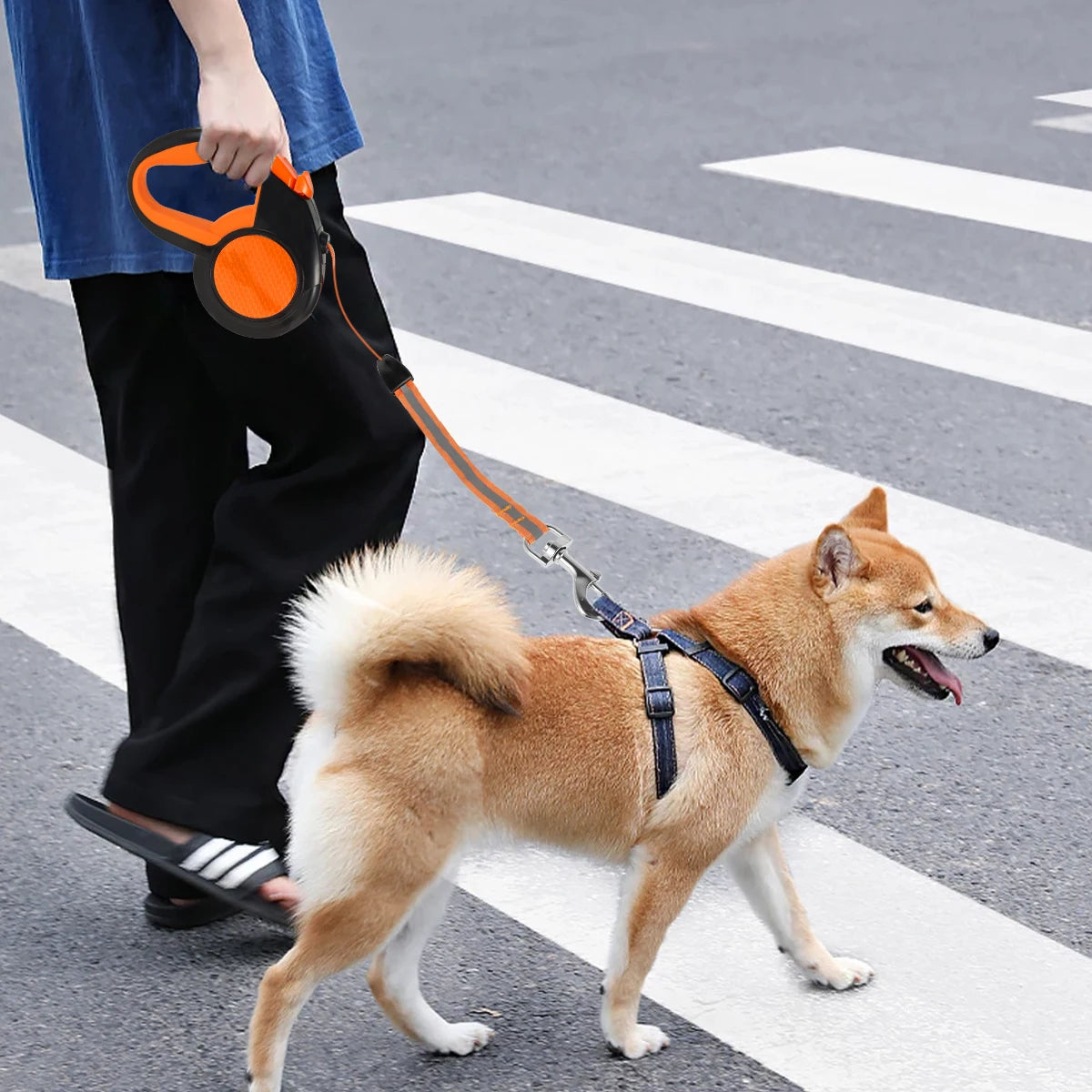 LongStride 8 m Retractable Dog Lead